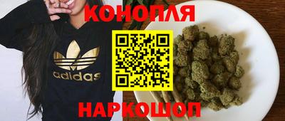 индика Пенза