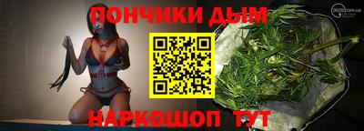 индика Пенза