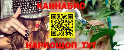 индика Пенза