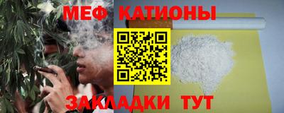 индика Пенза