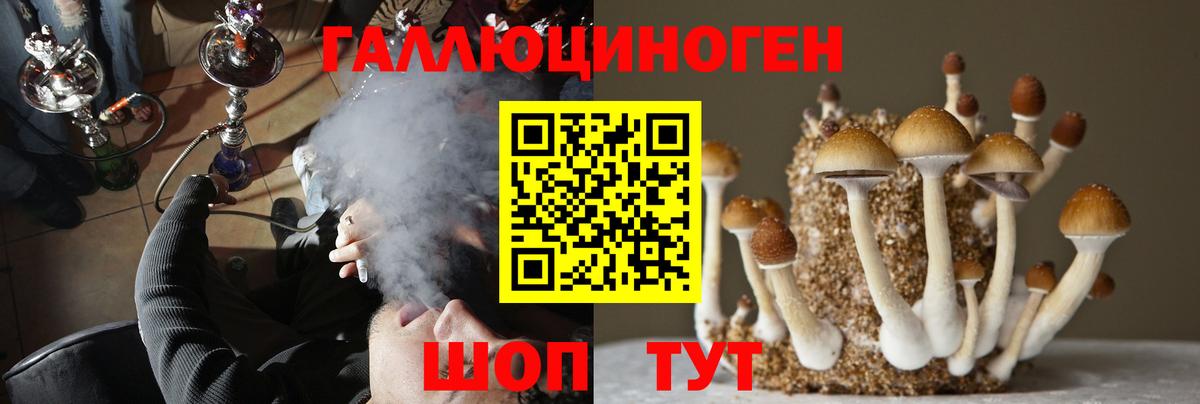 Псилоцибиновые грибы Psilocybine cubensis Семёнов